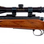 Remington 700 .243 Win Bolt Action Rifle