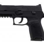 Sig Sauer P250 9mm Semi Auto Pistol
