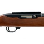 Ruger 10/22 .22 LR Semi Auto Rifle