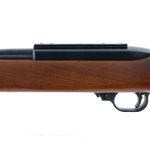 Ruger 10/22 .22 LR Semi Auto Rifle