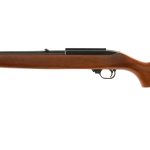 Ruger 10/22 .22 LR Semi Auto Rifle