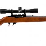 Ruger 10/22 .22 LR Semi Auto Rifle