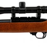 Ruger 10/22 .22 LR Semi Auto Rifle