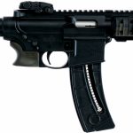 S&W M&P 15-22 .22LR Short Barrel Rifle