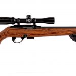 Remington 597 Magnum .17 HMR Semi Auto Rifle