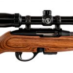 Remington 597 Magnum .17 HMR Semi Auto Rifle