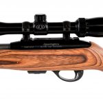 Remington 597 Magnum .17 HMR Semi Auto Rifle