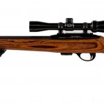 Remington 597 Magnum .17 HMR Semi Auto Rifle