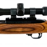 Ruger 10/22 .22 Long Rifle Semi Auto Rifle