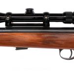 Harrington & Richardson 700DL .22 WMRF Semi Rifle