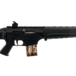 Sig Sauer SIG22SCM .22LR Semi Auto Rifle