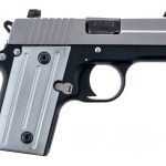 Sig Sauer P238 .380 ACP Semi Auto Pistol