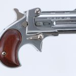 Davis Industries DM-22 .22 Mag Derringer