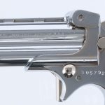 Davis Industries DM-22 .22 Mag Derringer