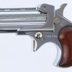 Davis Industries DM-22 .22 Mag Derringer