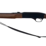 Winchester 190 .22 LR Rifle
