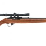 Ruger 10/22 Carbine .22 LR Semi Auto Rifle