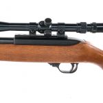 Ruger 10/22 Carbine .22 LR Semi Auto Rifle