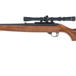 Ruger 10/22 Carbine .22 LR Semi Auto Rifle