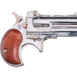 Davis Industries DM-22 .22 Magnum Derringer