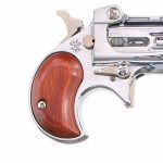 Davis Industries DM-22 .22 Magnum Derringer