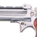 Davis Industries DM-22 .22 Magnum Derringer