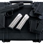 Springfield Armory XDm-9 9mm Semi Auto Pistol