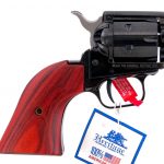 Heritage Rough Rider .22 LR Revolver