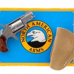 North American Arms NAA-22LR .22LR Revolver