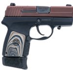 Sig Sauer P290RS 9mm Semi Auto Pistol