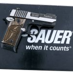 Sig Sauer P238 Equinox .380 ACP Semi Pistol