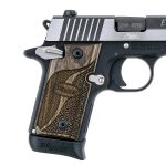 Sig Sauer P238 Equinox .380 ACP Semi Pistol