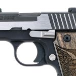 Sig Sauer P238 Equinox .380 ACP Semi Pistol