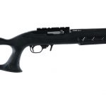Ruger 10/22 Custom .22 LR Semi Auto Rifle