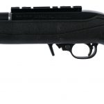 Ruger 10/22 Custom .22 LR Semi Auto Rifle