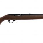 Ruger 10/22 Carbine .22 LR Semi Auto Rifle