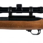 Ruger 10/22 Carbine .22 LR Semi Auto Rifle