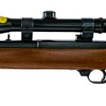 Ruger Carbine .44 Mag Semi Auto Rifle