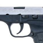 Smith & Wesson Bodyguard Engraved .380 ACP Pistol