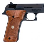 S&W 422 .22 LR Semi Auto Pistol
