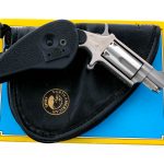 NAA .22 Magnum Holster Grip Mini Revolver