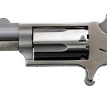 NAA .22 Magnum Holster Grip Mini Revolver