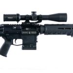 Dark Storm Industries DS-10 Fixed Mag Rifle