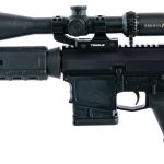 Dark Storm Industries DS-10 Fixed Mag Rifle