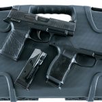 Sig Sauer P365 9mm Semi Auto Pistol