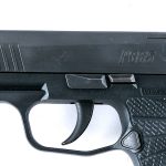 Sig Sauer P365 9mm Semi Auto Pistol