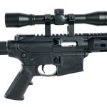 Smith & Wesson M&P15-22 .22 LR Semi Auto Rifle
