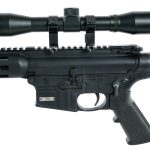 Smith & Wesson M&P15-22 .22 LR Semi Auto Rifle