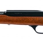 Marlin Model 60 .22 LR Semi Auto Rifle