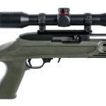 Ruger 10/22 .22 LR Semi Auto Rifle